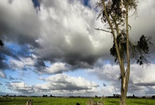 爱尔兰女足实力出众,展现竞技潜力