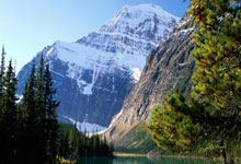 爱尔兰女足实力出众，展现竞技潜力