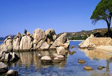 爱尔兰女足实力出众,展现竞技潜力